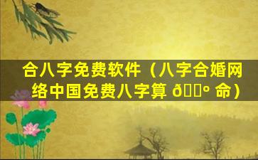合八字免费软件（八字合婚网络中国免费八字算 🐺 命）